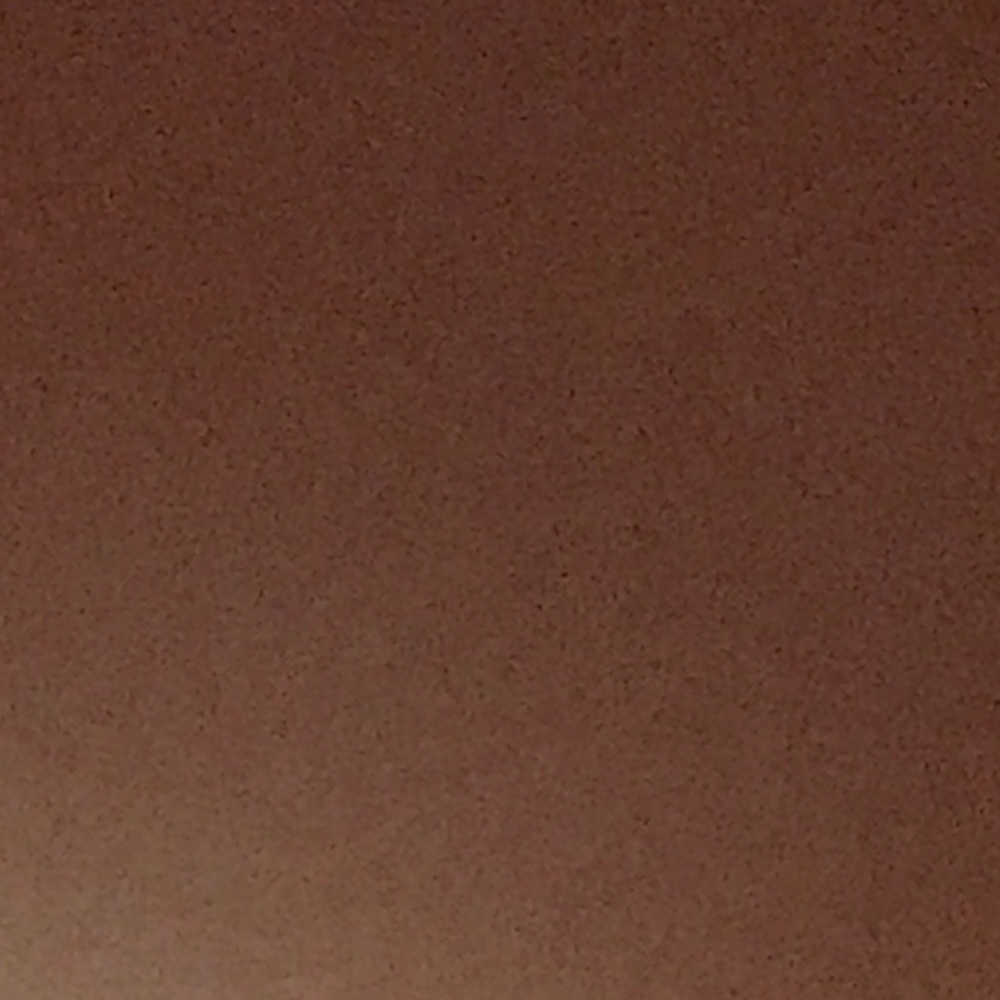 Meet your Posher, Latesha